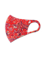 Load image into Gallery viewer, Summer Paisley Anti-Bacterial Fashion Face Mask
